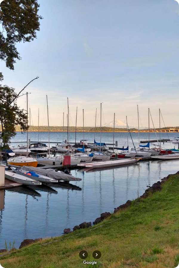 Urban marina with docks and great city views.